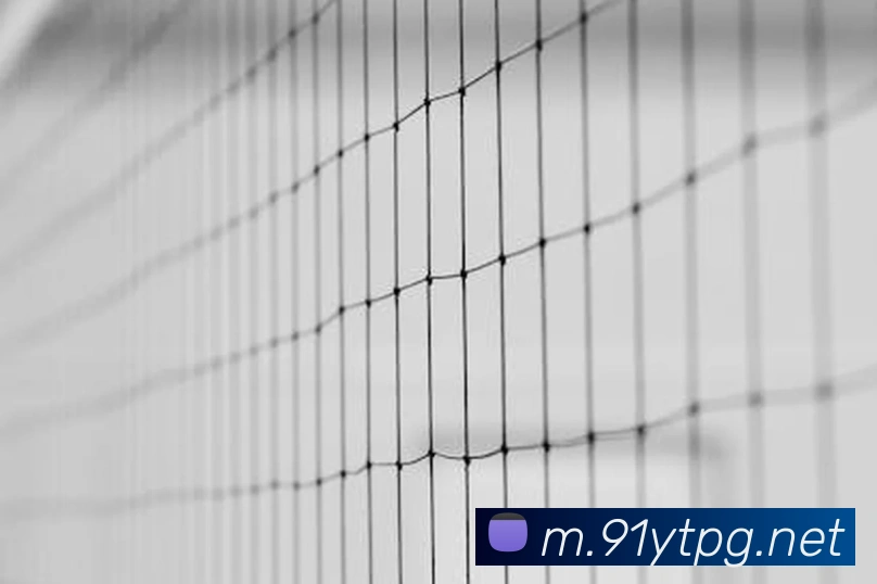 pg官网服务体系